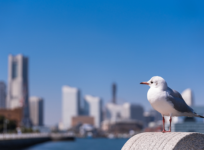 前向きに取り込むあなたをお手伝い。